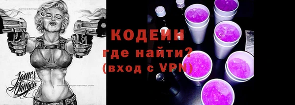ECSTASY Елизово