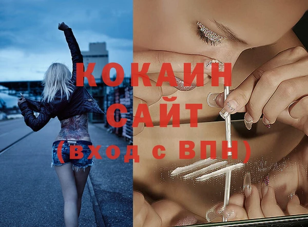ECSTASY Елизово