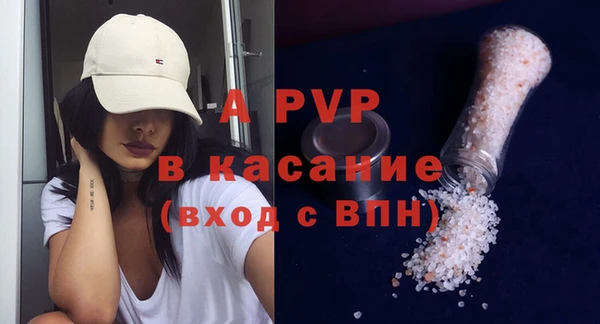 дживик Няндома