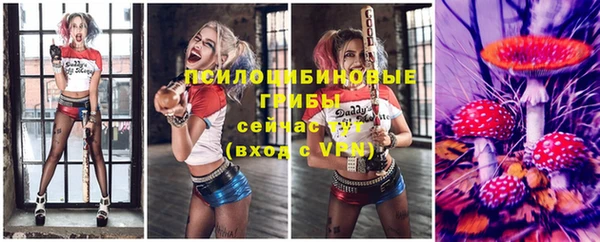 ECSTASY Елизово