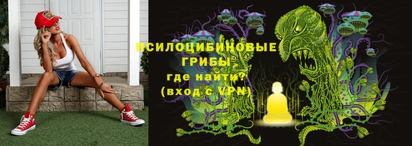 MESCALINE Ельня
