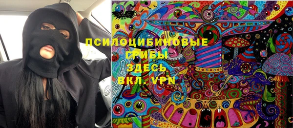 ECSTASY Елизово